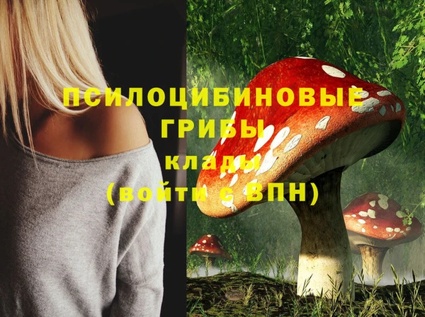 марки lsd Снежногорск