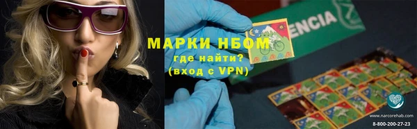 стафф Семикаракорск